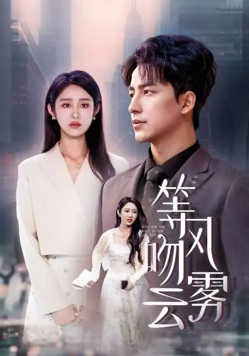 雾港纪事 第二季